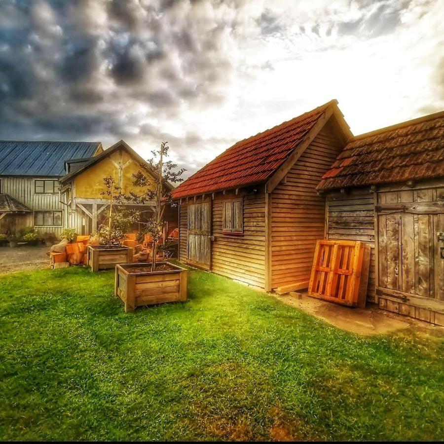Housewithnonails Bed & Breakfast Matamata Eksteriør bilde