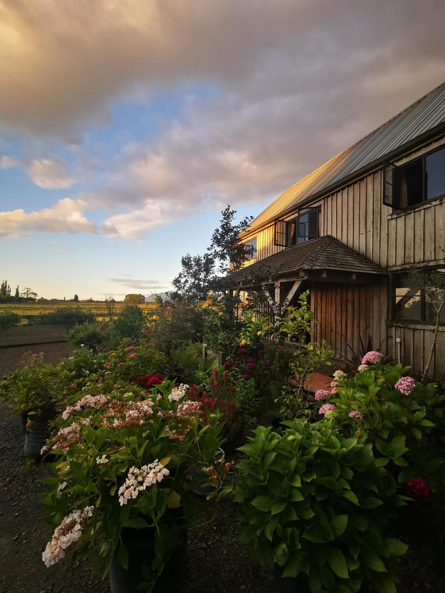 Housewithnonails Bed & Breakfast Matamata Eksteriør bilde